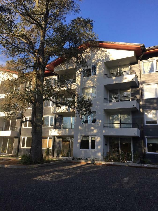 Condominio Robles Camino Al Volcan Pucón Extérieur photo
